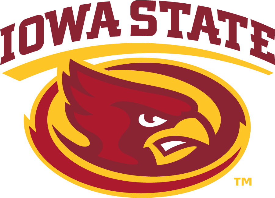 Iowa State Cyclones 2008-Pres Secondary Logo iron on transfers for clothing